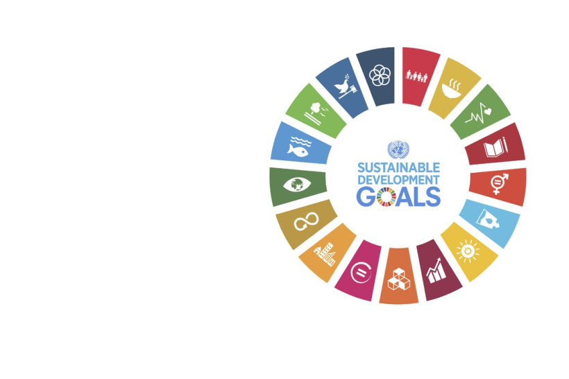 Global sustainable development. Цели устойчивого развития ООН. Sustainable Development goals. Sustainable Development goals лого. ЦУР ООН логотипы.